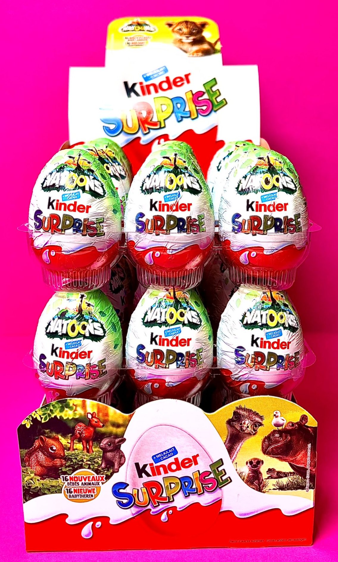 Kinder Surprise